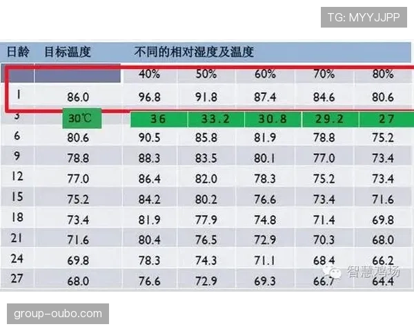 迈阿密午后湿度结合高温构成复合威胁 体感温度远超实际读数